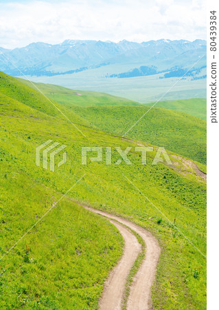 Nalati grassland with the blue sky. . Nalati grassland with the blue sky. . 80439384