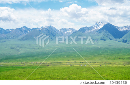 Nalati grassland with the blue sky. Nalati grassland with the blue sky. 80439386