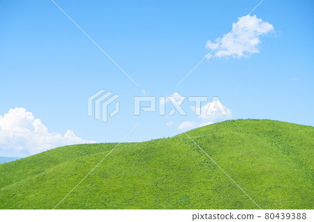 Nalati grassland with the blue sky. 80439388