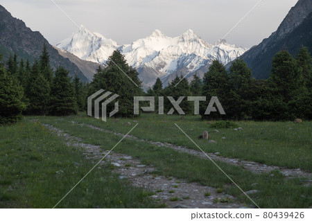 Snowy mountains and trees in a cloudy day. Khan Tengri Mountain In Xinjiang, China. Snowy mountains and trees in a cloudy day. Khan Tengri Mountain In Xinjiang, China. 80439426