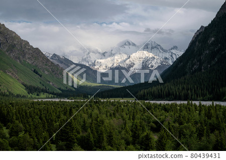 Snowy mountains and trees in a cloudy day. Khan Tengri Mountain In Xinjiang, China. 80439431