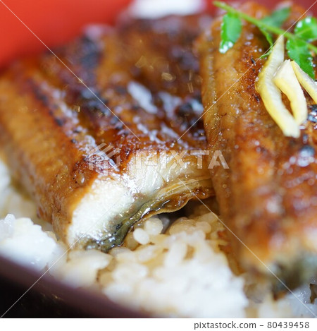 經濟實惠的迷你鰻魚 80439458