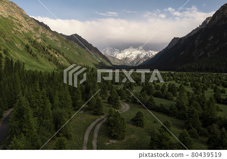 Trees and mountains with white clouds. Trees and mountains with white clouds. 80439519