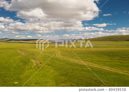 Grassland with blue sky and white clouds. Photo in Bayinbuluke Grassland in Xinjiang, China. 80439538