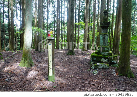 Mt. Buko Hiking, Chichibu City, Saitama Prefecture 80439653