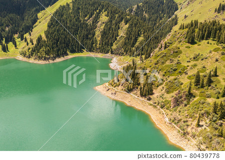 River and trees with cloudless day. 80439778