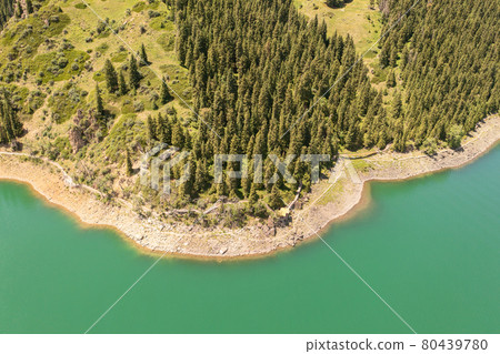 River and trees with cloudless day. River and trees with cloudless day. 80439780