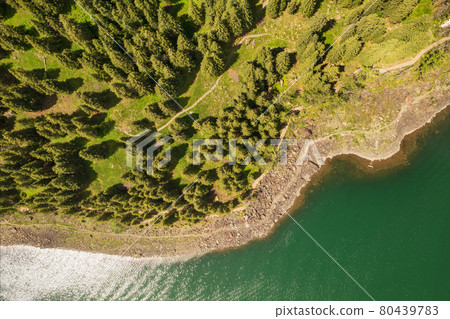 River and trees with cloudless day. River and trees with cloudless day. 80439783