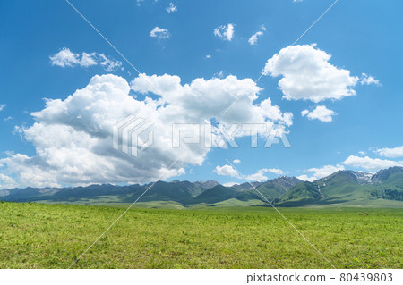 Nalati grassland with the blue sky. Nalati grassland with the blue sky. 80439803
