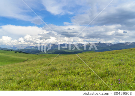 Grassland and mountains in a sunny day. Photo in Kalajun grassland in Xinjiang, China. 80439808