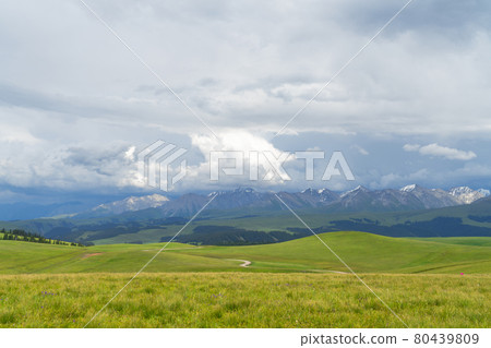 Grassland and mountains in a cloudy day. Photo in Kalajun grassland in Xinjiang, China. 80439809