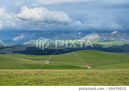 Grassland and mountains in a cloudy day. Photo in Kalajun grassland in Xinjiang, China. 80439810