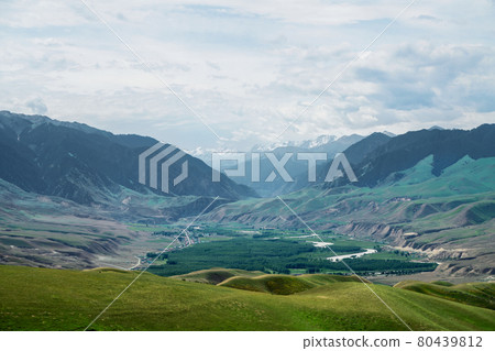 Grassland and mountains in a sunny day. 80439812