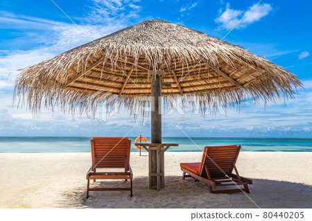 Sunbed and umbrella in the Maldives 80440205