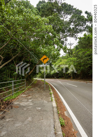 Traffic warning sign on the tropical road advertising to be aware of the appearance of the protected cat of Iriomote island. Unesco natural world heritage site. 80440325