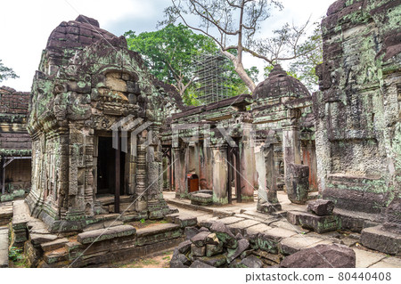 Preah Khan temple in Angkor Wat 80440408