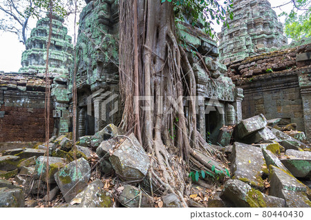 Ta Prohm temple in Angkor Wat 80440430