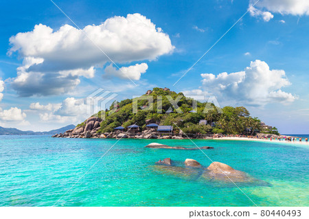 Nang Yuan Island, Koh Tao, Thailand 80440493