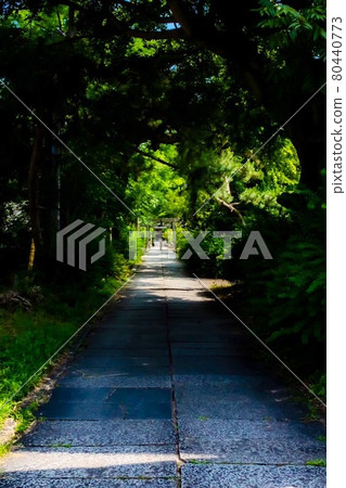 通往神社的道路 通往神社的道路 80440773