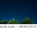 Starry night 80441014