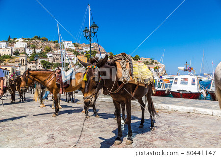 Hydra island in Greece Hydra island in Greece 80441147