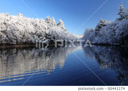 雲葉池的雪妝 80441174
