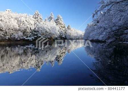 Snow makeup of Kumoba Pond 80441177