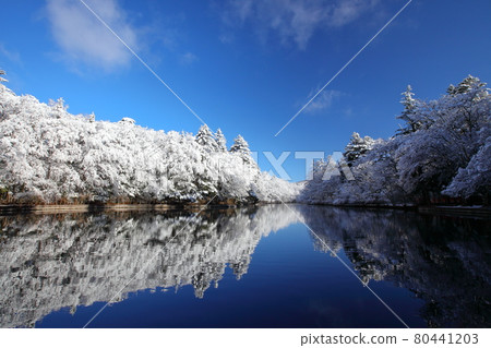 雲葉池的雪妝 80441203