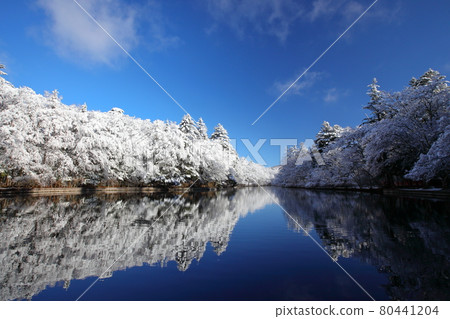 雲葉池的雪妝 雲葉池的雪妝 80441204