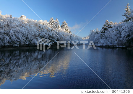 雲葉池的雪妝 80441206