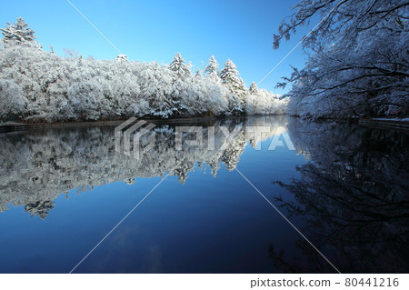 雲葉池的雪妝 雲葉池的雪妝 80441216