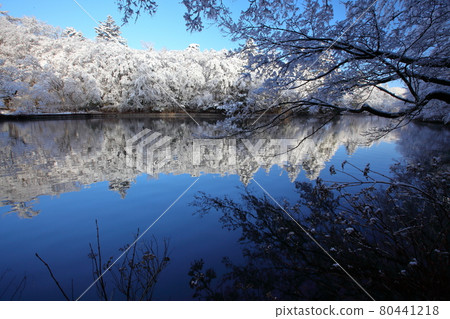 雲葉池的雪妝 雲葉池的雪妝 80441218