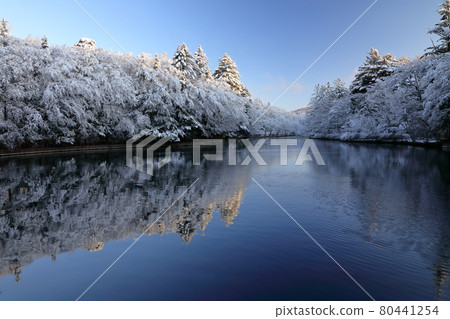 雲葉池的雪妝 80441254
