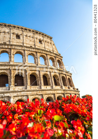 Colosseum in Rome 80441328