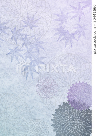 哀菊明信片背景 80441666