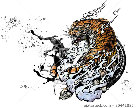 Tiger picture Tiger picture 80441885
