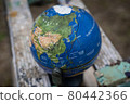 korea globe 80442366