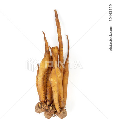 fingerroot, Boesenbergia rotunda on white background. 80443329