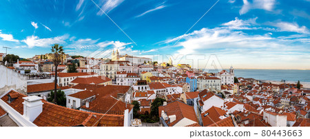 Panorama of Lisbon Panorama of Lisbon 80443663