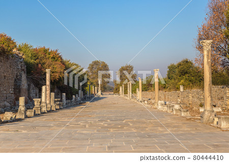 Ancient city Ephesus, Turkey 80444410