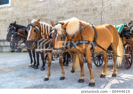 Carriage with horses in Salzburg Carriage with horses in Salzburg 80444619