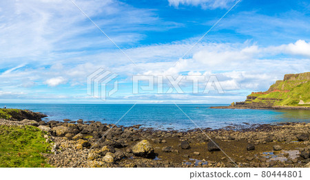 Giant's Causeway in Northern Ireland Giant's Causeway in Northern Ireland 80444801