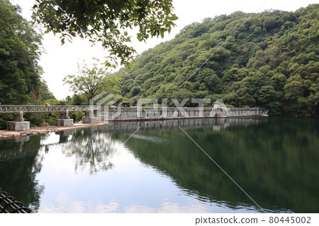 Hyogo Nunobiki Gohonmatsu Dam Reservoir Hyogo Nunobiki Gohonmatsu Dam Reservoir 80445002