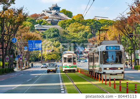 熊本市電車道和熊本城 80445113