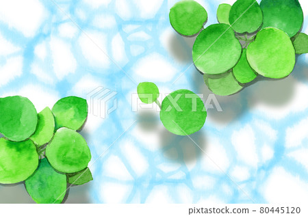 Analog watercolor swaying water surface and floating grass Amazon frog pit Analog watercolor swaying water surface and floating grass Amazon frog pit 80445120