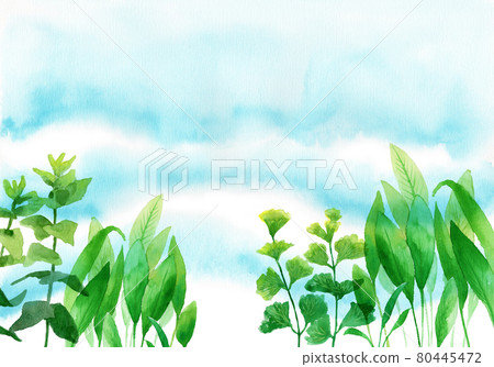 模擬水彩背景材料水下水生植物 模擬水彩背景材料水下水生植物 80445472
