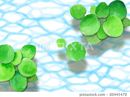 Analog watercolor swaying water surface and floating grass Amazon frog pit 80445478