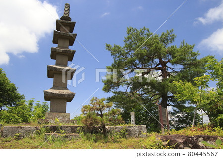 At Tonoyama (Minami Uonuma City, Niigata Prefecture) 80445567