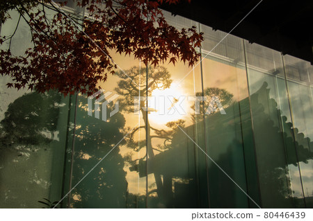 京都的秋葉倒映在牆上的玻璃上 80446439
