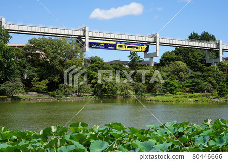 July Chiba 12 Chiba Urban Monorail and Chiba Park 80446666